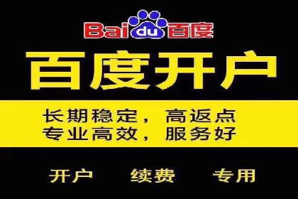 百度竞价广告投放策略：案例分析及优化建议